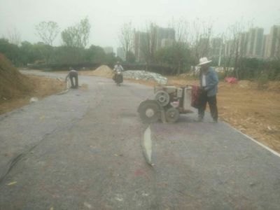 鄂州洋澜湖湿地公园建设工程工作